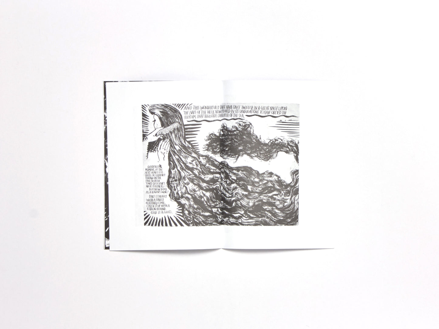 Raymond Pettibon, O.D. a Hippie