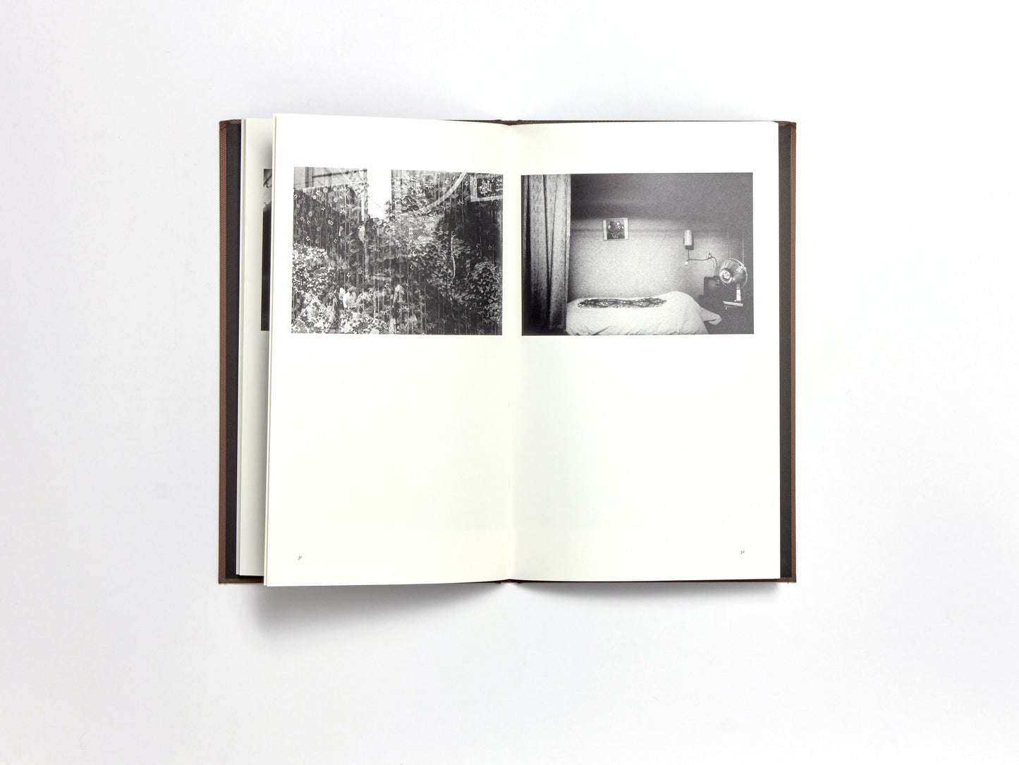 Daido Moriyama, Sunflower