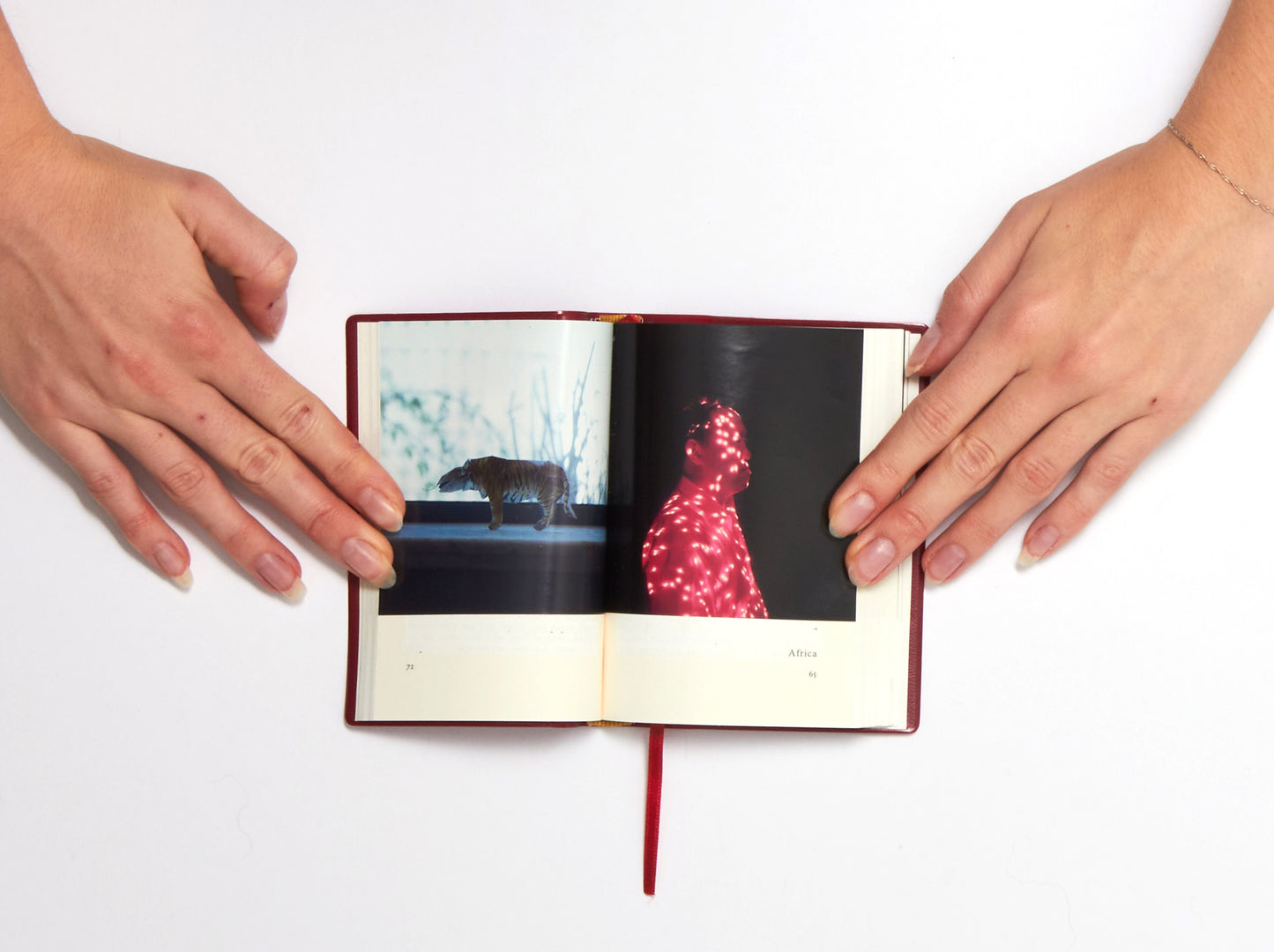 Cristina De Middel, Party - Quotations From Chairman Mao Tse-Tung