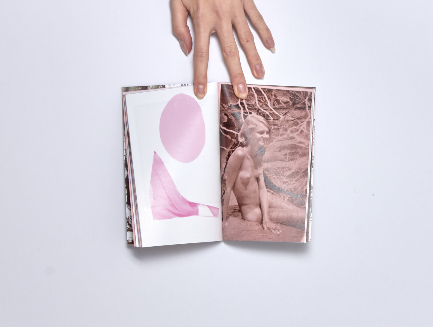 Misha Hollenbach, Pink/Brown Stool/Stool