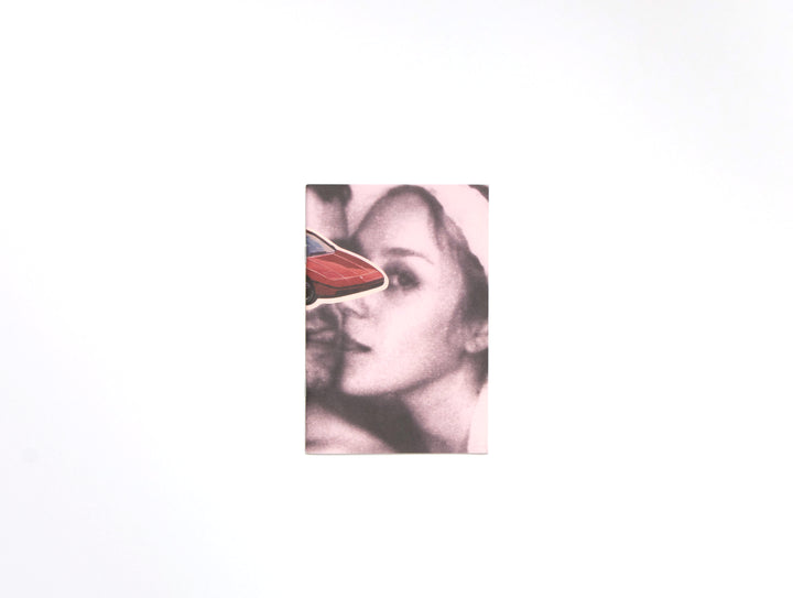 Chloë Sevigny, No time for love