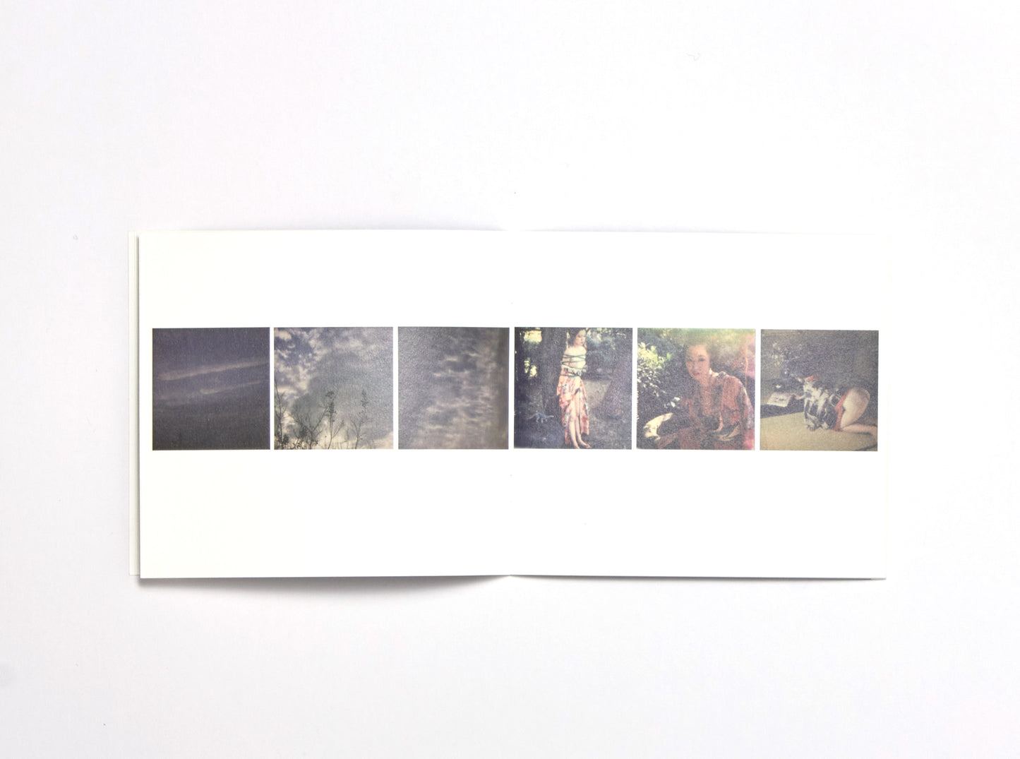 Nobuyoshi Araki, Sky in the West