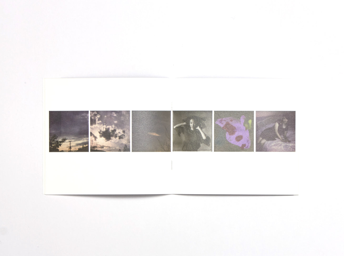 Nobuyoshi Araki, Sky in the West