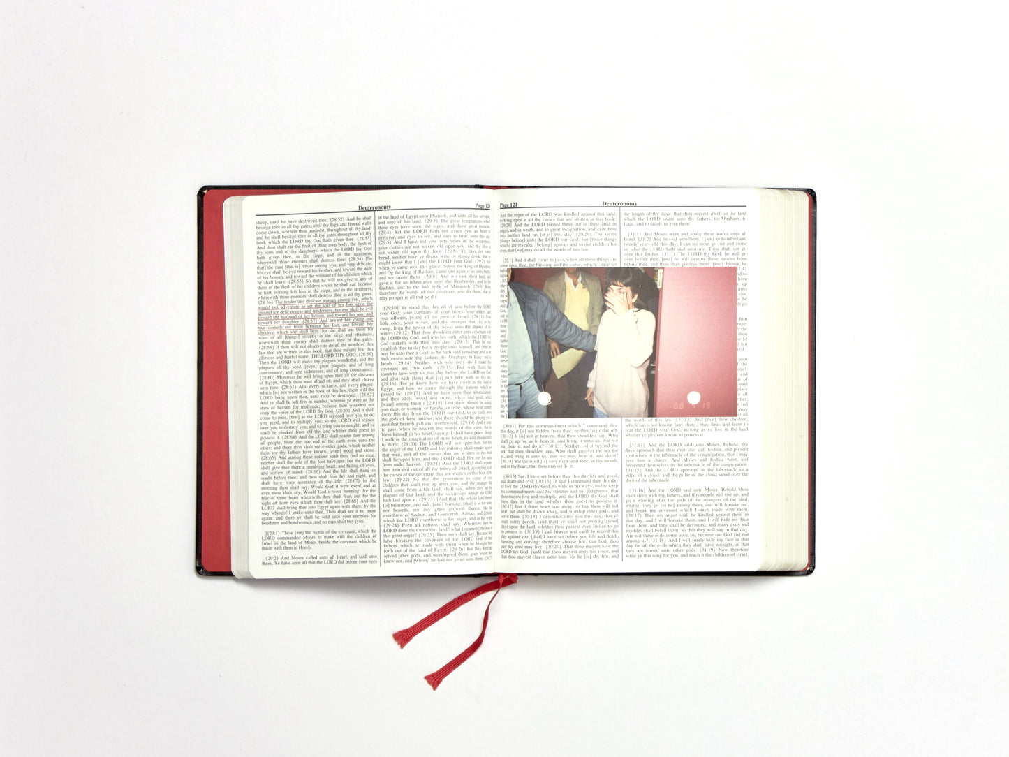 Adam Broomberg & Oliver Chanarin, Holy Bible