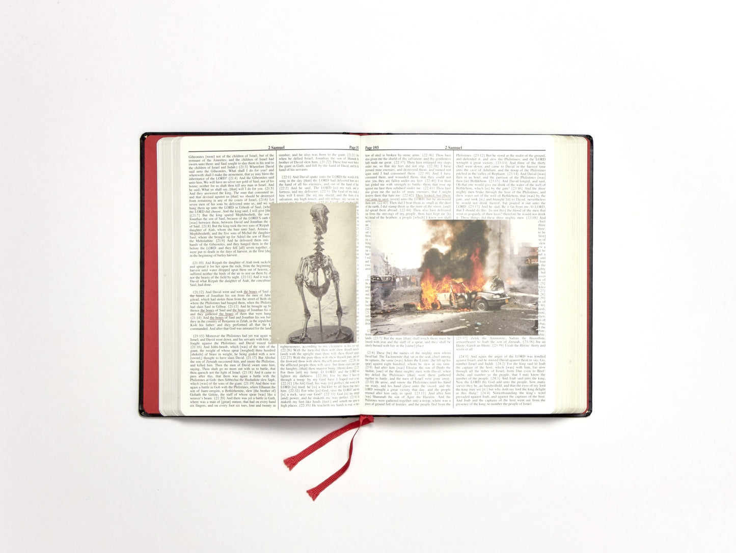 Adam Broomberg & Oliver Chanarin, Holy Bible