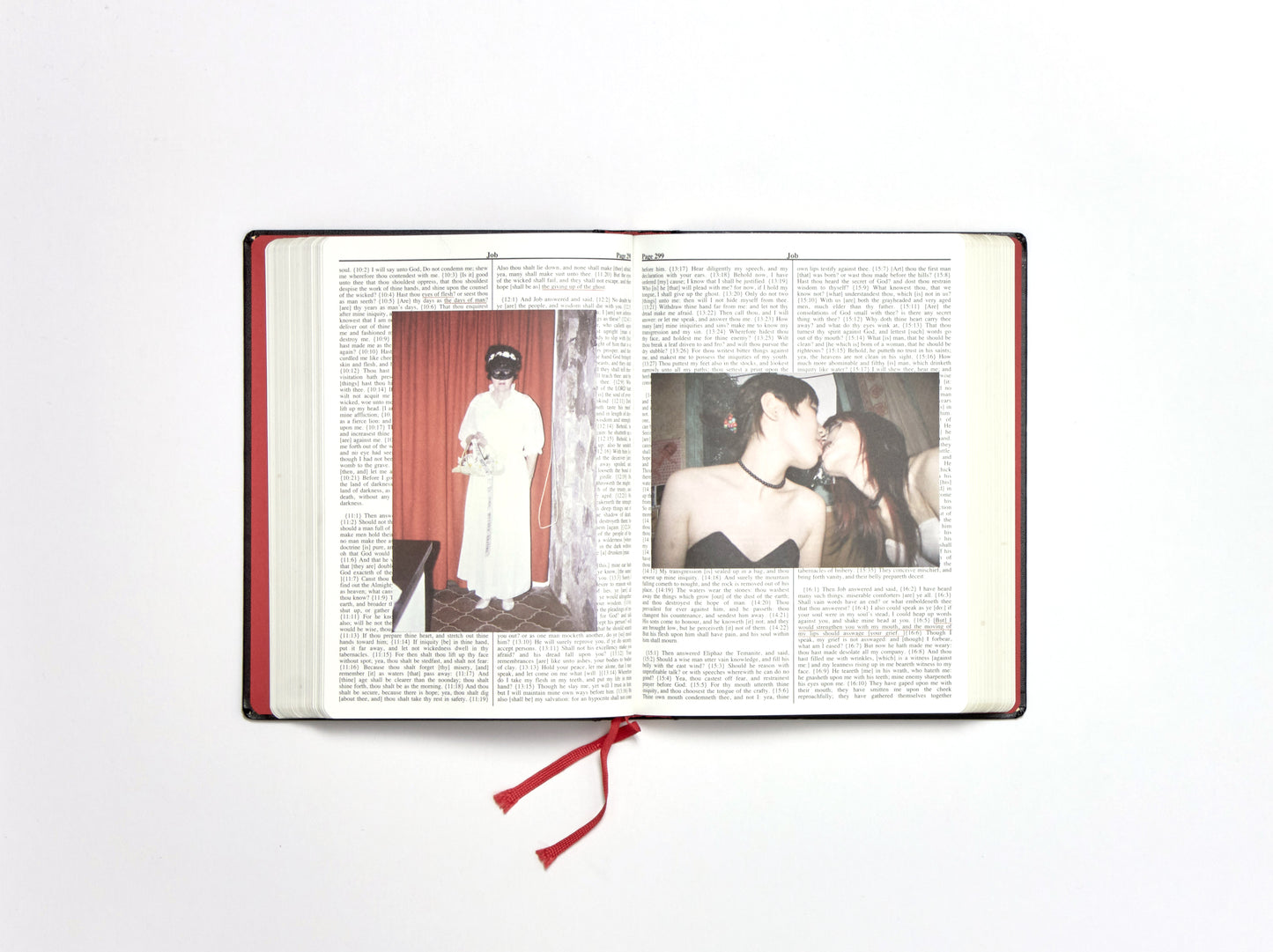 Adam Broomberg & Oliver Chanarin, Holy Bible