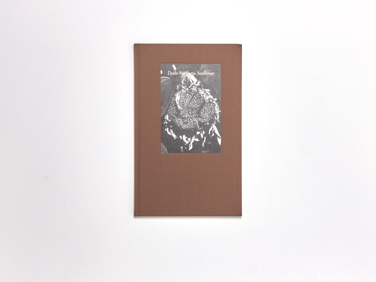 Daido Moriyama, Sunflower