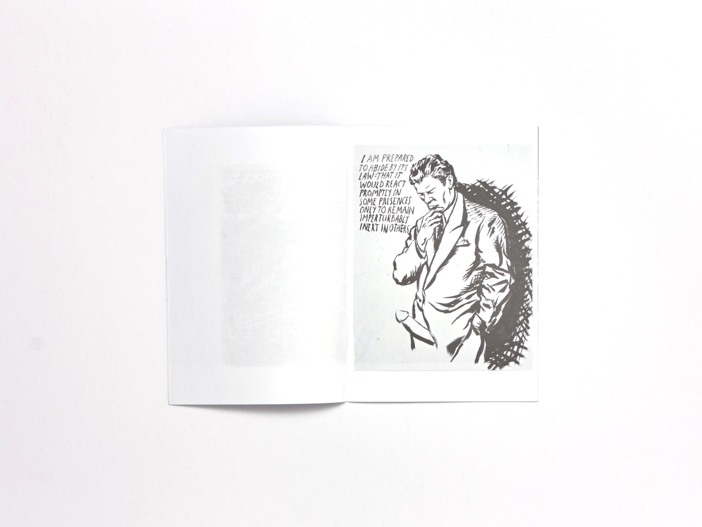 Raymond Pettibon, O.D. a Hippie
