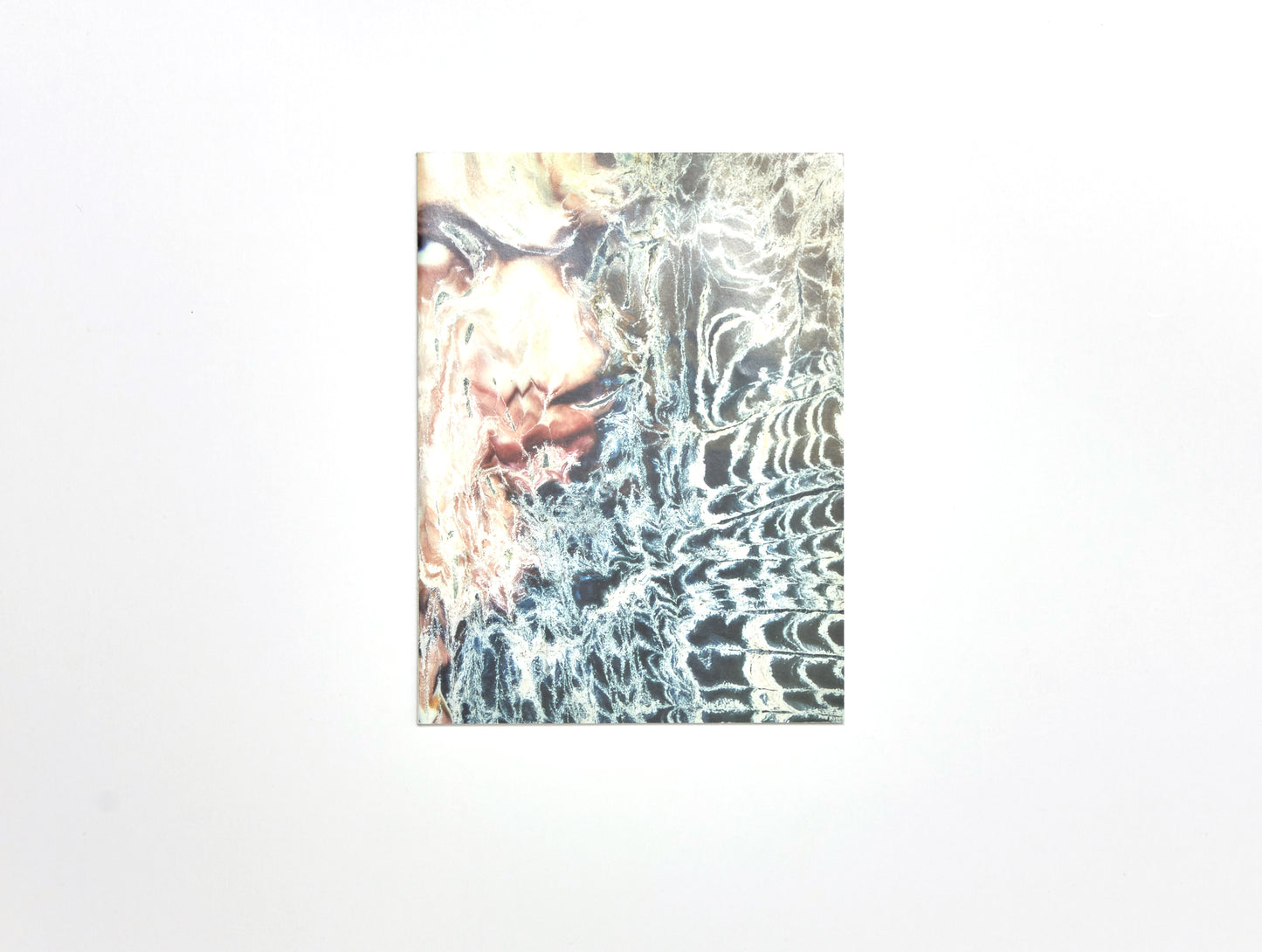 H.R Giger, Polaroids