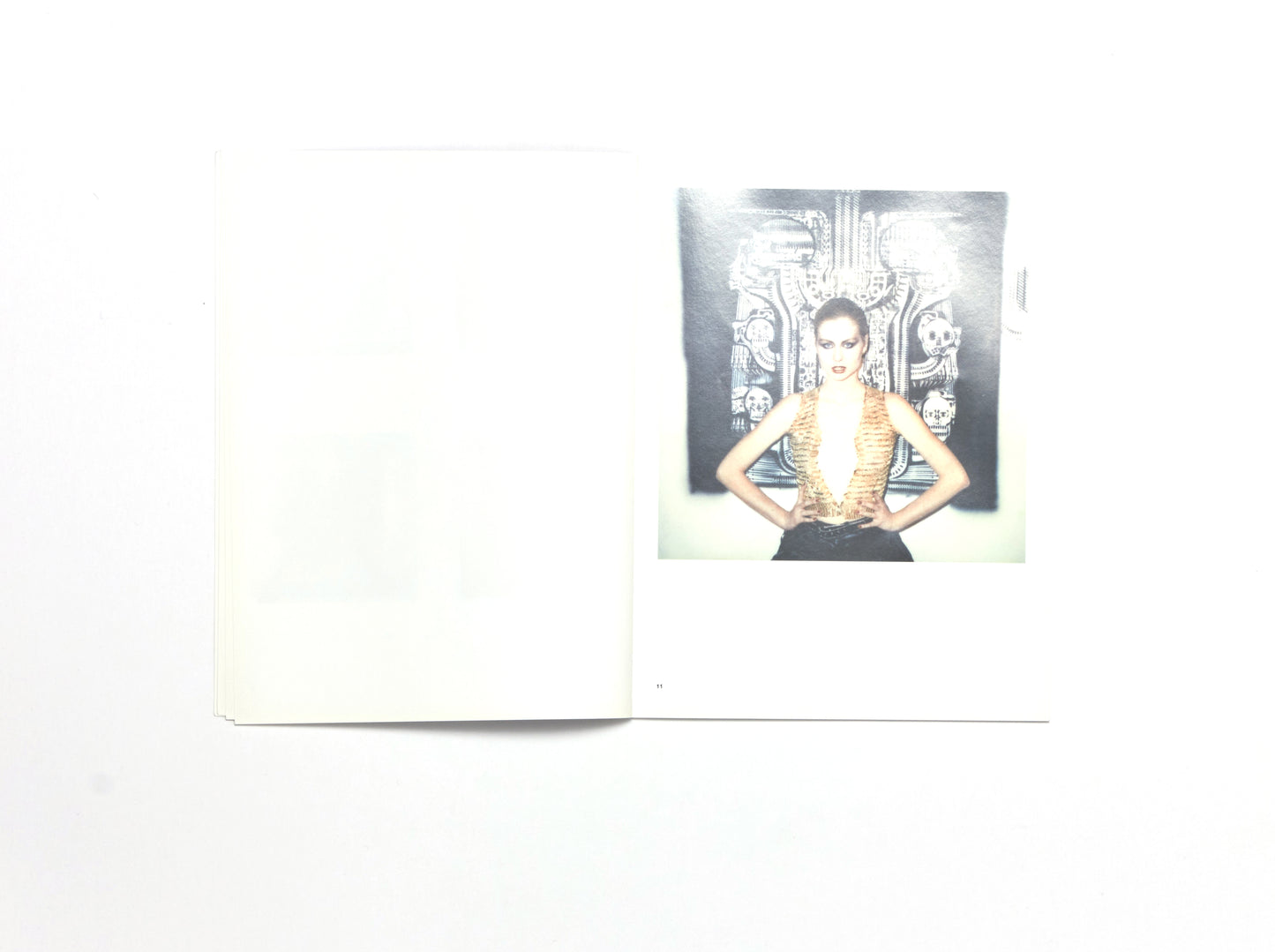 H.R Giger, Polaroids